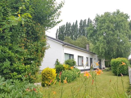 Mary's Poppies - Bed & Breakfast - Housity
