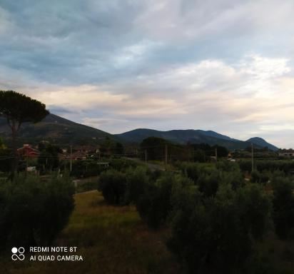 B&B Villa Sabrina - Housity