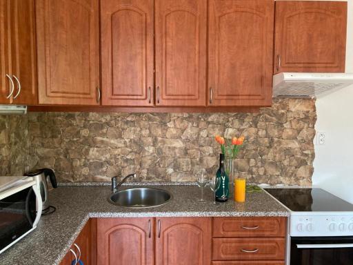 Horský apartmán v Karlovicích (Karlovický dvůr) - Housity