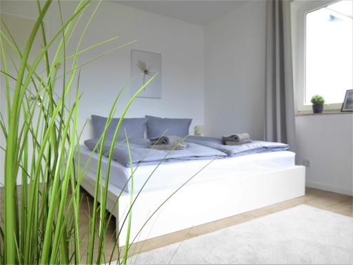 Bike & Ski Lounge Winterberg Ferienwohnung 6 Pers near Lift Wifi - Housity