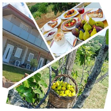 Casa del Sole - Housity