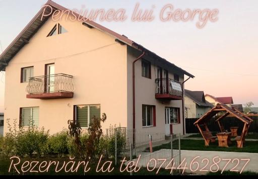 Pensiunea lui George - Housity