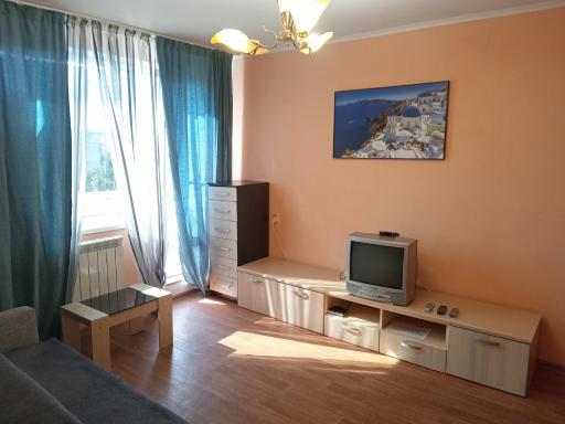 Apartment on Druzhby - Housity