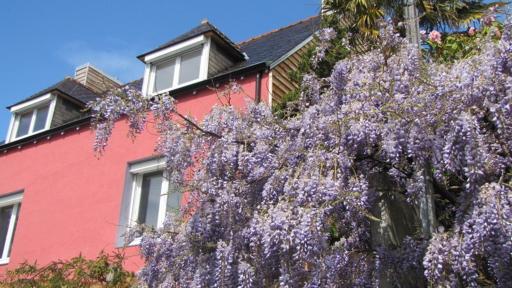Chez Tata Bea - Housity