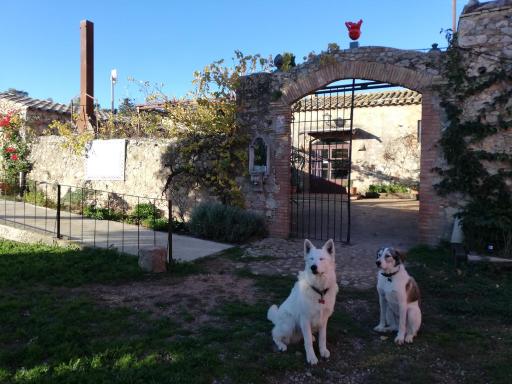 Mas Del Llop Blanc - Dog friendly Hostal Rural - B&B - Housity