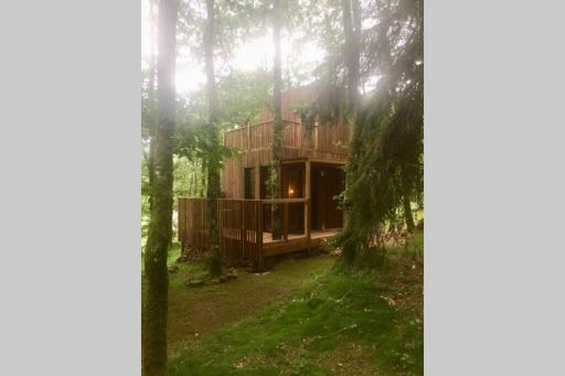 Adorable Cabane dans un espace boisé - Housity