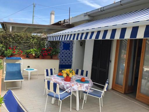 Il polpetto - Housity