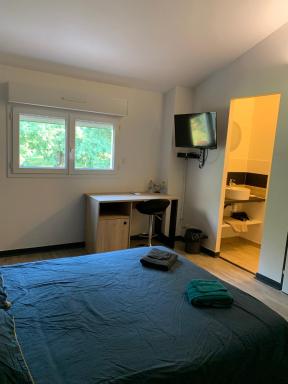grande chambre dans logement partagé - Housity