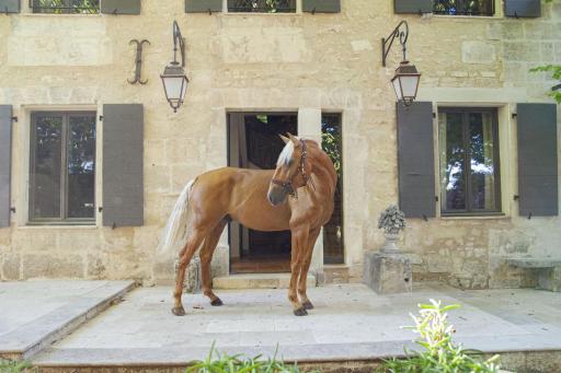Domaine Cap Rubis - Hizvo