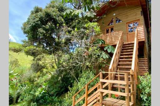 La Casa En El Bosque - Housity