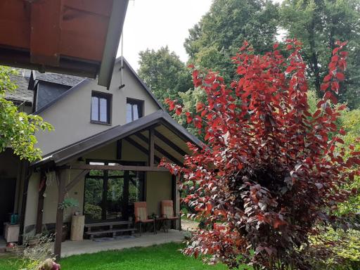 Apartmán v Podzámčí - Housity