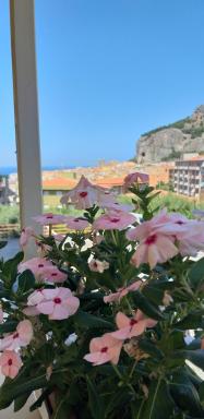Maison Marianna - Housity