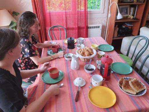 Domi et les chats - Housity