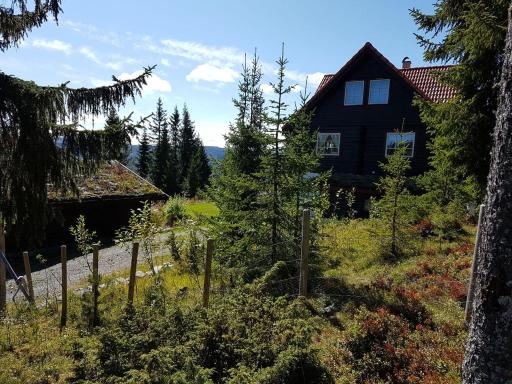Casa San Gottardo - The Forest House, Etnedal - Housity