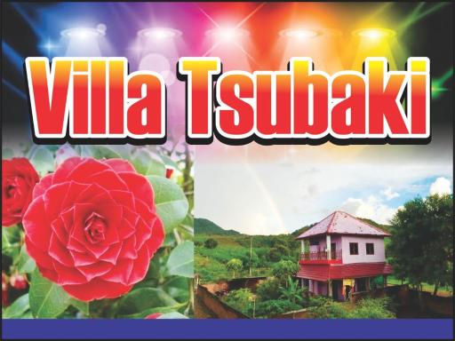 Lakey Peak villa tsubaki 2st floor - Housity