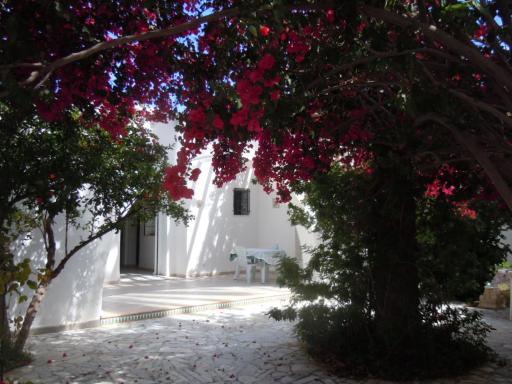 House with Wala Garden - Housity