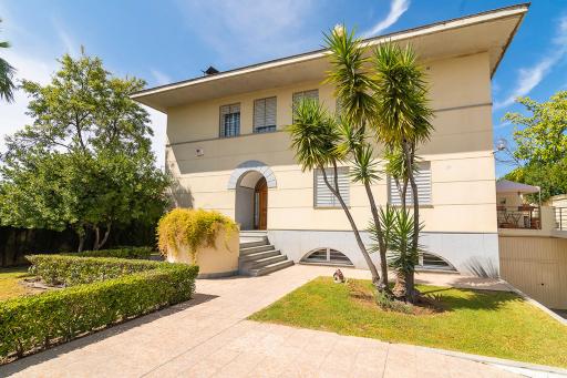 La casa del olivo en Córdoba - Housity
