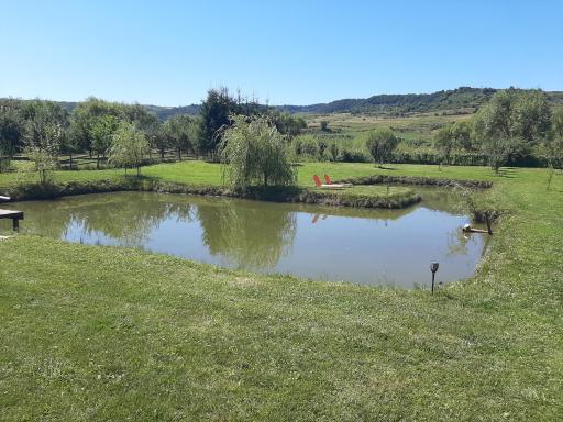Kacsó Apartma - Housity