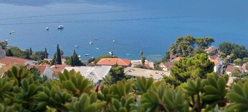 Apartment Buena Vista - Housity