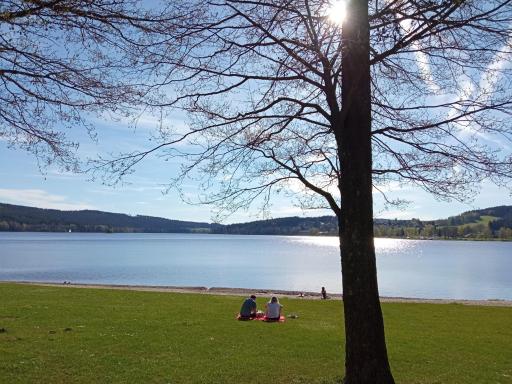 Apartman29 - Housity