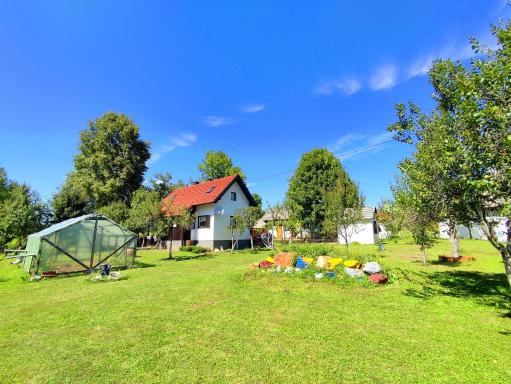 Apartments Eco Forest Resort - Housity