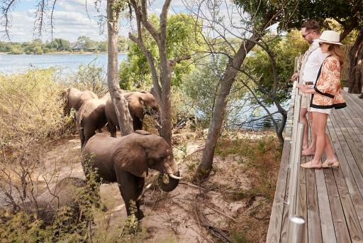 Victoria Falls River Lodge - Housity