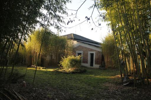 Gîte 12 à 14 personnes au cœur d'une magnifique bambouseraie - Housity