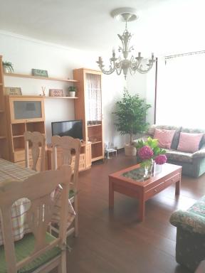 APARTAMENTO RIO AGÜERA DE GURIEZO, cerca de Castro Urdiales y Bilbao - Housity