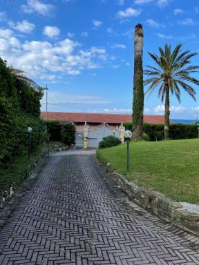 Celeste Apartment - Housity