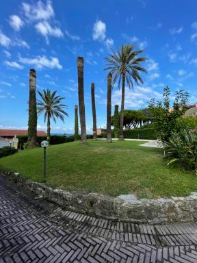 Celeste Apartment - Housity