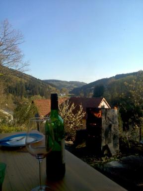 FeWo PacoHaus nähe Willingen Diemelsee - Housity