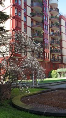 Danae Home - Hizvo