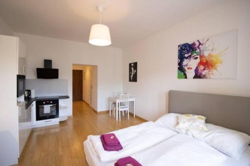 Studio-Apartment between Schoenbrunn & the City Center (30) - Housity