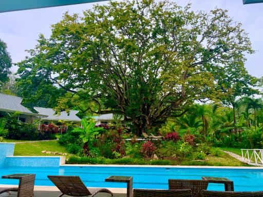 Aves Hotel Montezuma - Housity