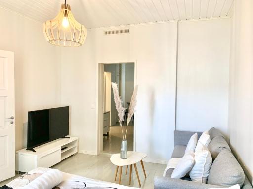 Spacious scandinavia travelers apartment - Housity