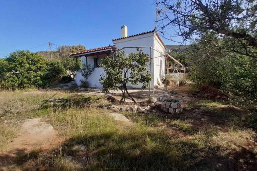 Elafonisos Detached House in Quiet Olive Grove, Starlink Internet & Smart Projector! - Housity