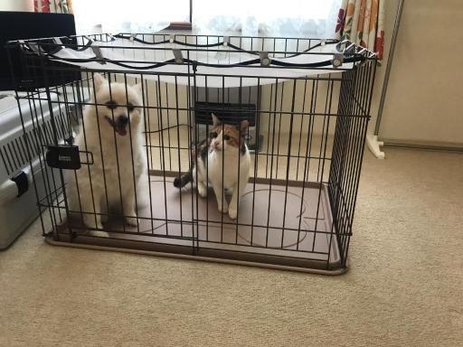 STAY Akeboshi Kan - Housity