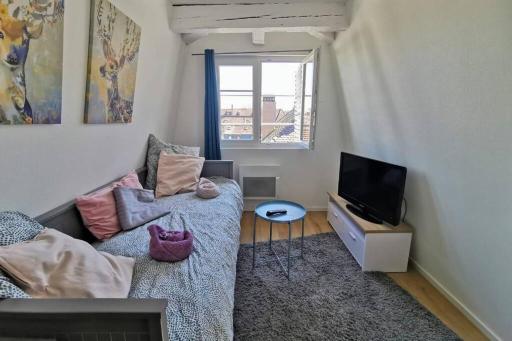 ** appartement cathédrale Strasbourg centre** - Housity