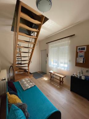 Mira Kuckó - Housity