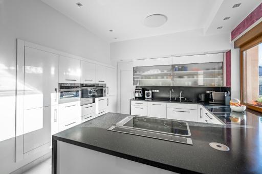 Háj u Duchcova - Housity