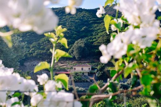 Villa Kamilakis Escape To Nature - Housity