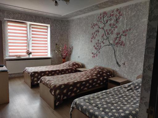 Zaslonova - Housity