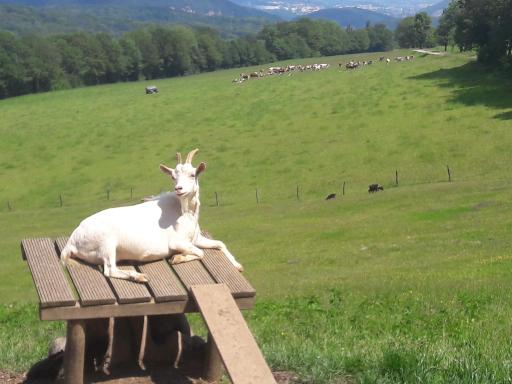 Au Doubs Repos - Housity