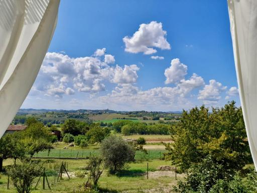 Casapaletti Country House - Housity
