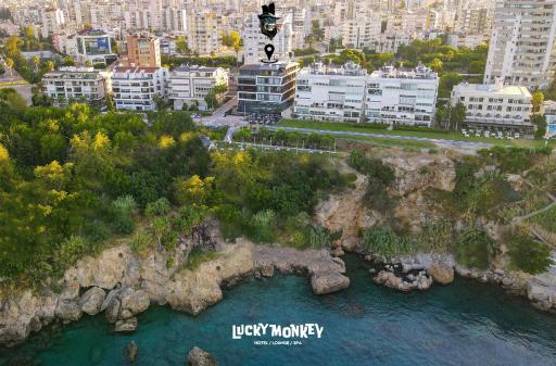 Lucky Monkey Hotel - Housity