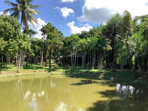 เฮือนเจีดาวรีสอร์ท - Housity