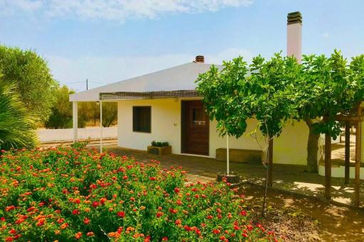 Salento: VILLETTA in campagna a 15min da Gallipoli - Housity