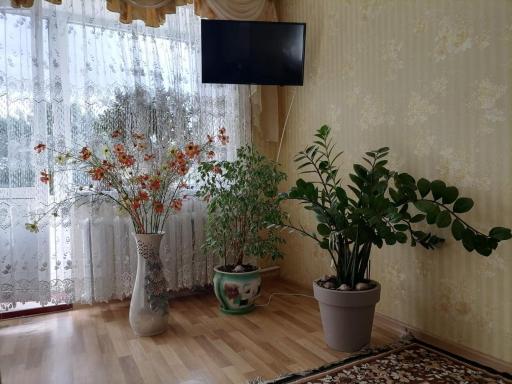 Апартаменти в центрі міста - Housity