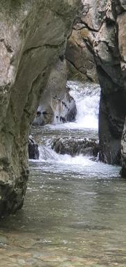 Rural L'Ortiga Blanca - Housity