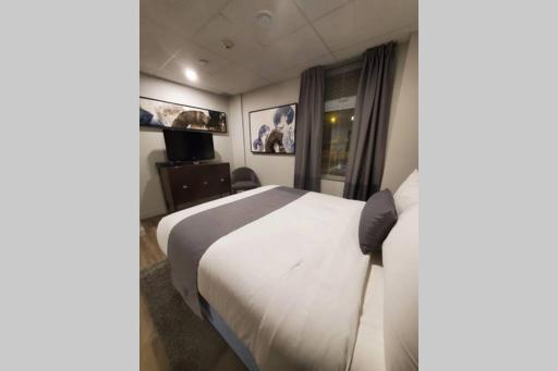 Cozy Sweet Studio #4, Only 10 min to D.T. Ottawa - Housity